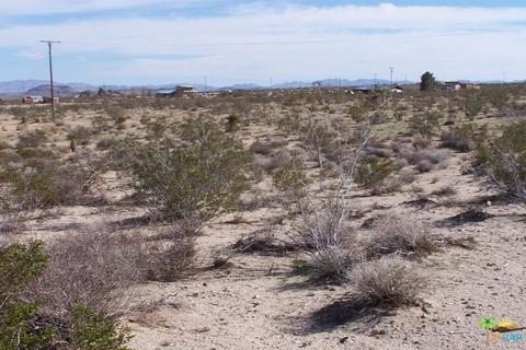 55425 Pleasant Vw, Landers, CA 92285 photo 3