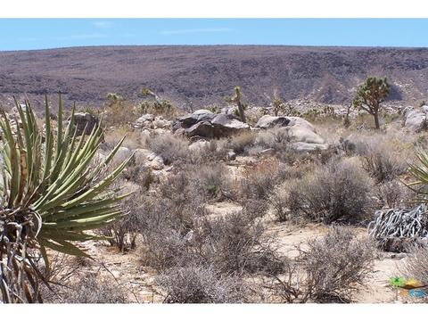 1621 Jemez Trl, Yucca Valley, CA 92284 photo 32