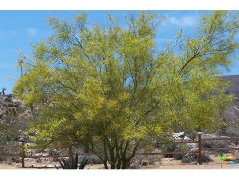 1621 Jemez Trl, Yucca Valley, CA 92284 photo 25