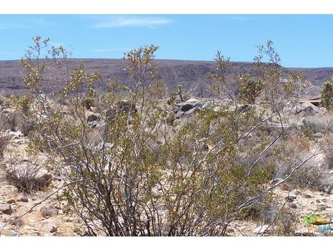 1621 Jemez Trl, Yucca Valley, CA 92284 photo 31
