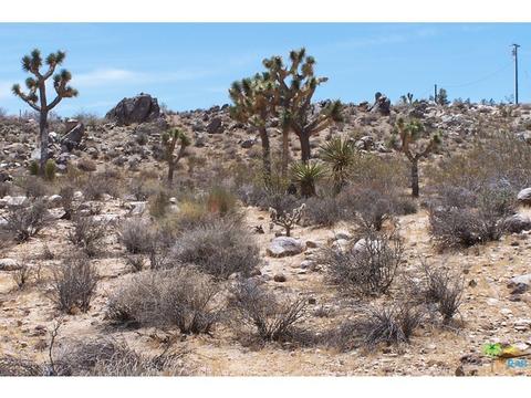 1621 Jemez Trl, Yucca Valley, CA 92284 photo 29