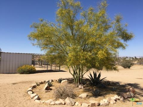 1621 Jemez Trl, Yucca Valley, CA 92284 photo 47
