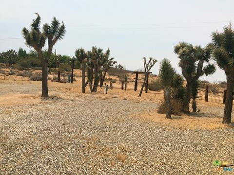 56161 Breezy Ln, Yucca Valley, CA 92284 photo 11