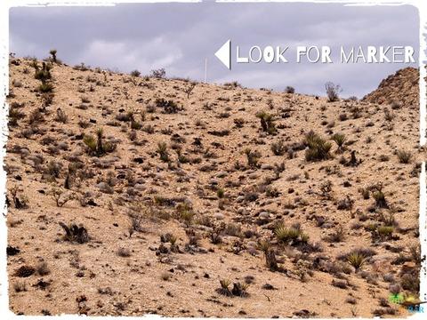 5775 Balsa Ave, Yucca Valley, CA 92284 photo 3