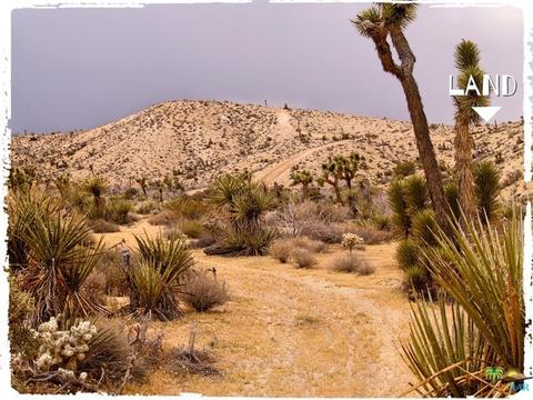 5775 Balsa Ave, Yucca Valley, CA 92284 photo 12
