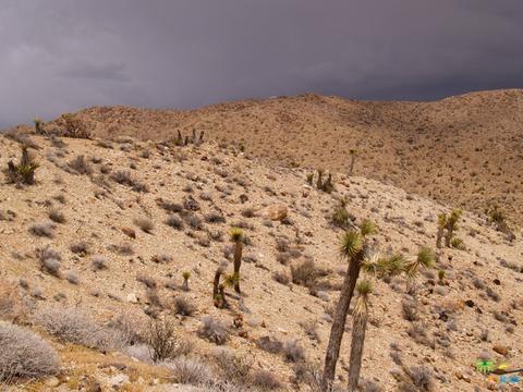 5775 Balsa Ave, Yucca Valley, CA 92284 photo 38