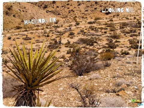 5775 Balsa Ave, Yucca Valley, CA 92284 photo 8