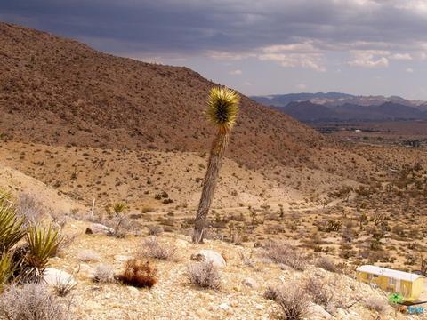 5775 Balsa Ave, Yucca Valley, CA 92284 photo 31