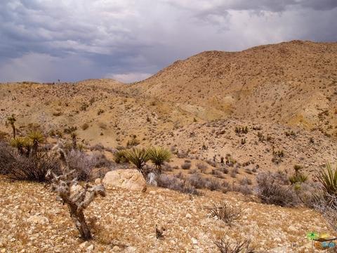 5775 Balsa Ave, Yucca Valley, CA 92284 photo 28