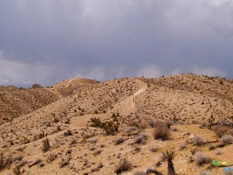 5775 Balsa Ave, Yucca Valley, CA 92284 photo 34