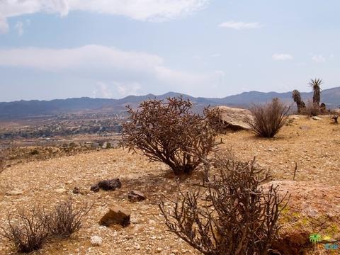 5775 Balsa Ave, Yucca Valley, CA 92284 photo 30