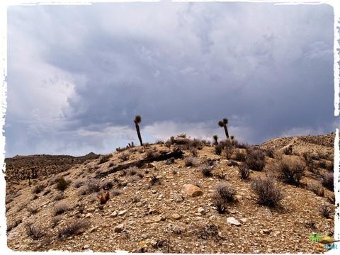 5775 Balsa Ave, Yucca Valley, CA 92284 photo 6