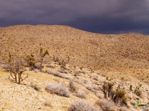 5775 Balsa Ave, Yucca Valley, CA 92284 photo 36