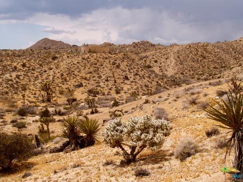 5775 Balsa Ave, Yucca Valley, CA 92284 photo 21
