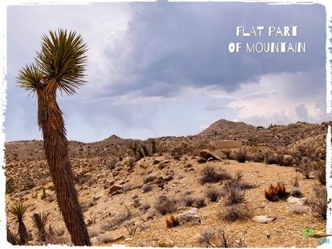 5775 Balsa Ave, Yucca Valley, CA 92284 photo 7