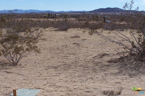 59495 Lorraine Ave, Landers, CA 92285 photo 14
