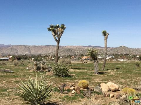 9010 Balsa Ave, Yucca Valley, CA 92284 photo 8