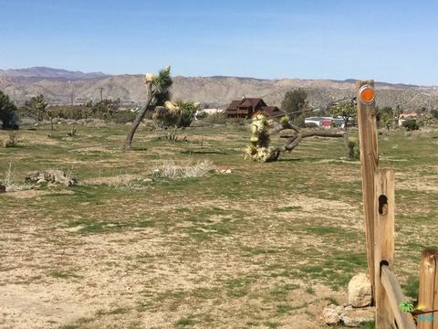 9010 Balsa Ave, Yucca Valley, CA 92284 photo 29