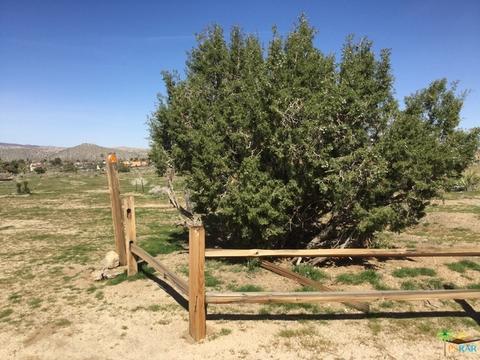 9010 Balsa Ave, Yucca Valley, CA 92284 photo 27