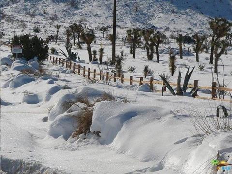 9010 Balsa Ave, Yucca Valley, CA 92284 photo 5