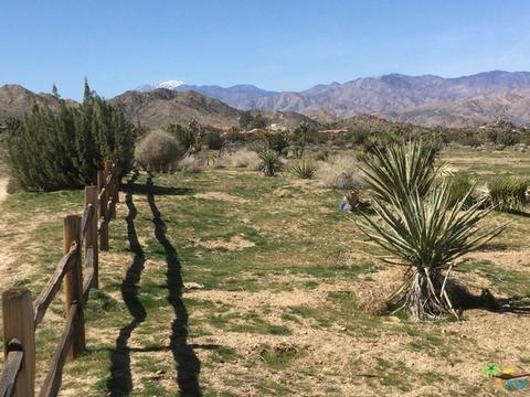9010 Balsa Ave, Yucca Valley, CA 92284 photo 24