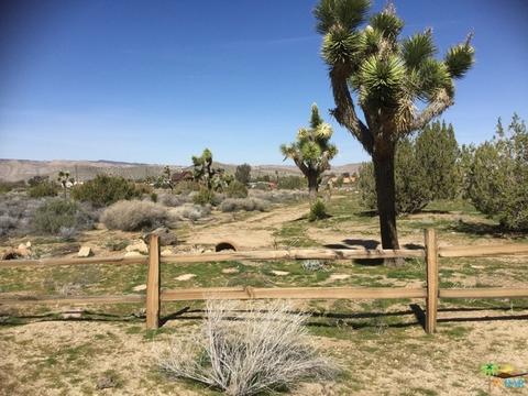 9010 Balsa Ave, Yucca Valley, CA 92284 photo 14