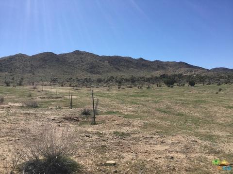 9010 Balsa Ave, Yucca Valley, CA 92284 photo 35