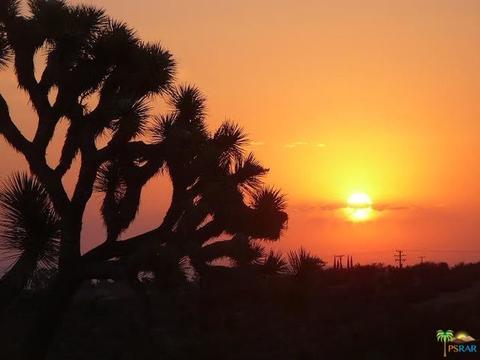 9010 Balsa Ave, Yucca Valley, CA 92284 photo 13