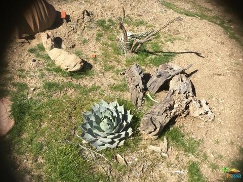 9010 Balsa Ave, Yucca Valley, CA 92284 photo 25