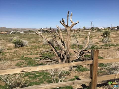 9010 Balsa Ave, Yucca Valley, CA 92284 photo 38