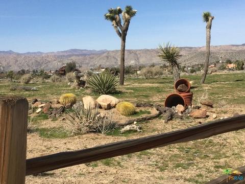 9010 Balsa Ave, Yucca Valley, CA 92284 photo 7