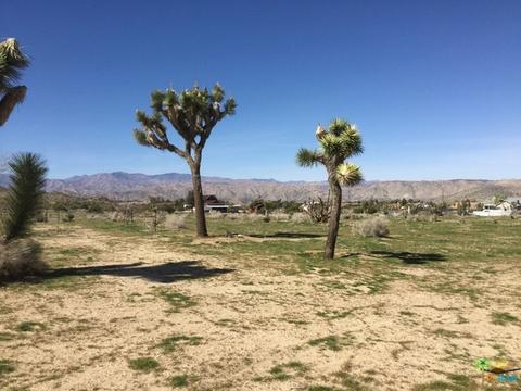 9010 Balsa Ave, Yucca Valley, CA 92284 photo 17