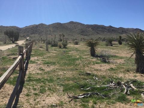 9010 Balsa Ave, Yucca Valley, CA 92284 photo 18
