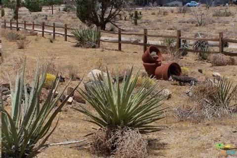 9010 Balsa Ave, Yucca Valley, CA 92284 photo 3