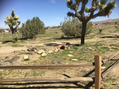 9010 Balsa Ave, Yucca Valley, CA 92284 photo 30