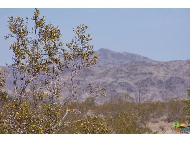 56625 Lilac Ln, Landers, CA 92285 photo 23