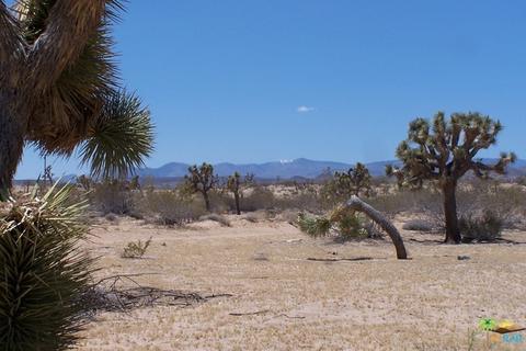 58432 Ira Ave, Landers, CA 92285 photo 3