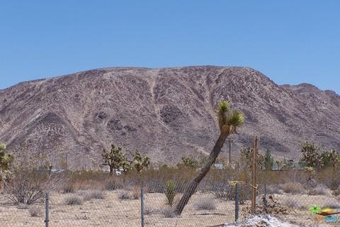 58432 Ira Ave, Landers, CA 92285 photo 6