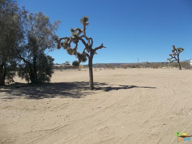 56291 Handley Rd, Yucca Valley, CA 92284 photo 50