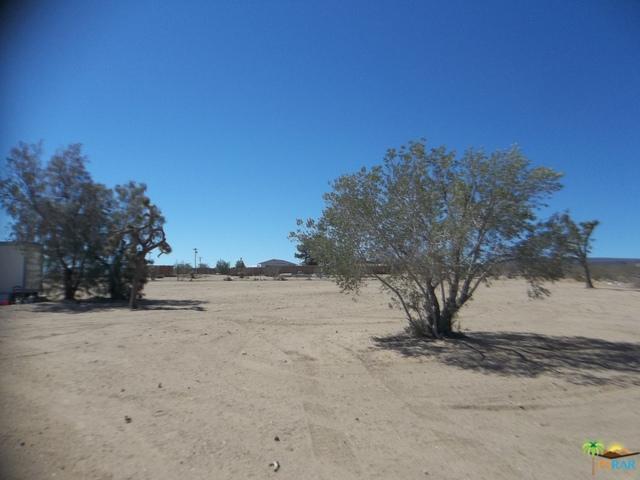 56291 Handley Rd, Yucca Valley, CA 92284 photo 52