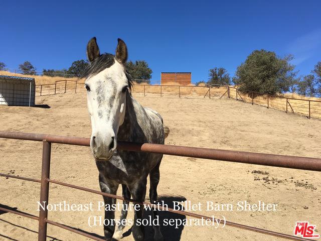 19550 Quail Dr, Tehachapi, CA 93561 photo 20