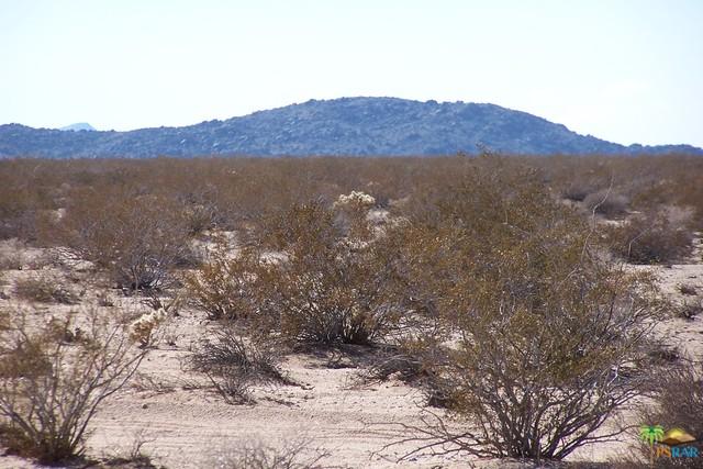 66959 Post Rd, Joshua Tree, CA 92252 photo 8