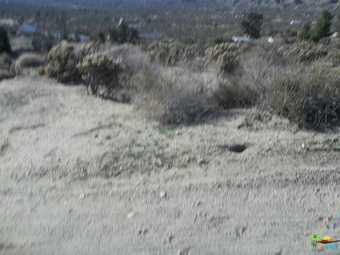 9288 S Samel Rd, Morongo Valley, CA 92256 photo 8