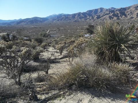 9288 S Samel Rd, Morongo Valley, CA 92256 photo 16