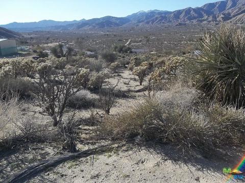 9288 S Samel Rd, Morongo Valley, CA 92256 photo 15