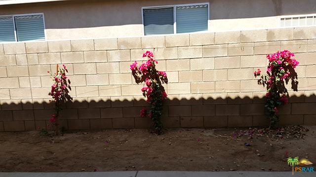 82949 Corte Maria, Indio, CA 92201 photo 28