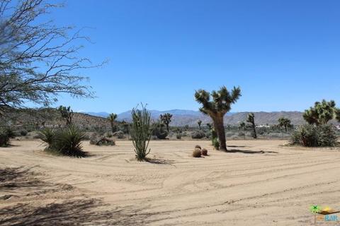 8018 Palomar Ave, Yucca Valley, CA 92284 photo 29