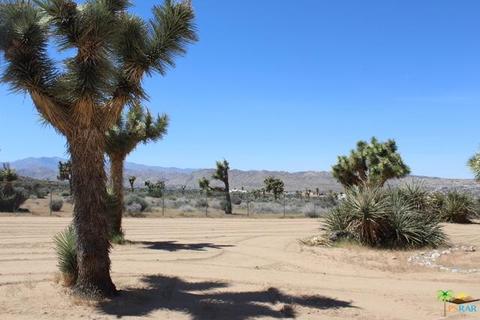 8018 Palomar Ave, Yucca Valley, CA 92284 photo 43