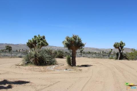8018 Palomar Ave, Yucca Valley, CA 92284 photo 44