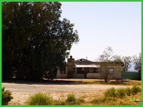 64867 Chollita Rd, Joshua Tree, CA 92252 photo 11